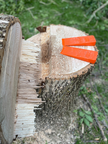 tree removal wedge