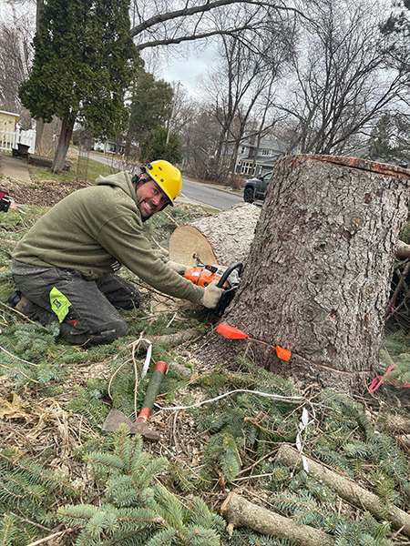 Will Tree Care Specialist